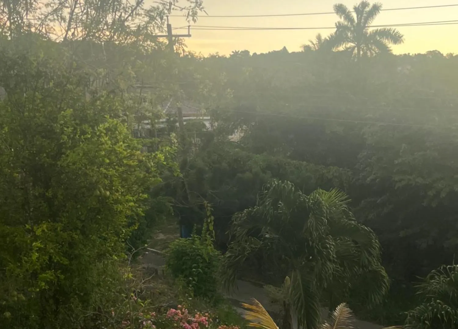 Andeve'S Tranquil Beautiful Home Montego Bay